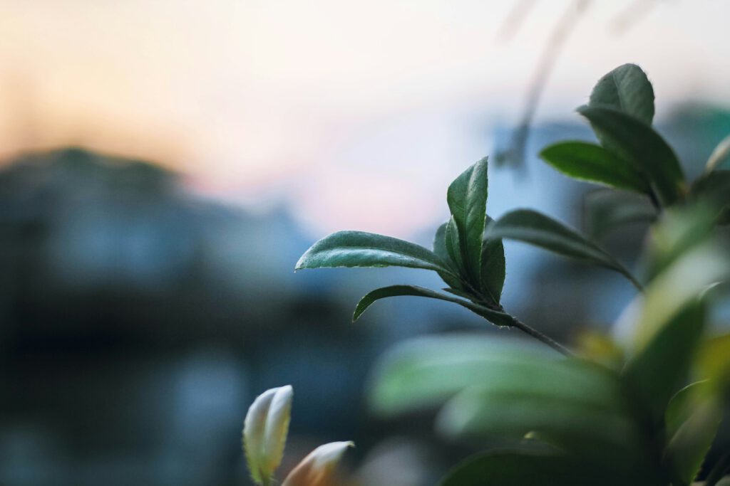 An Easter Litany of Tidings
