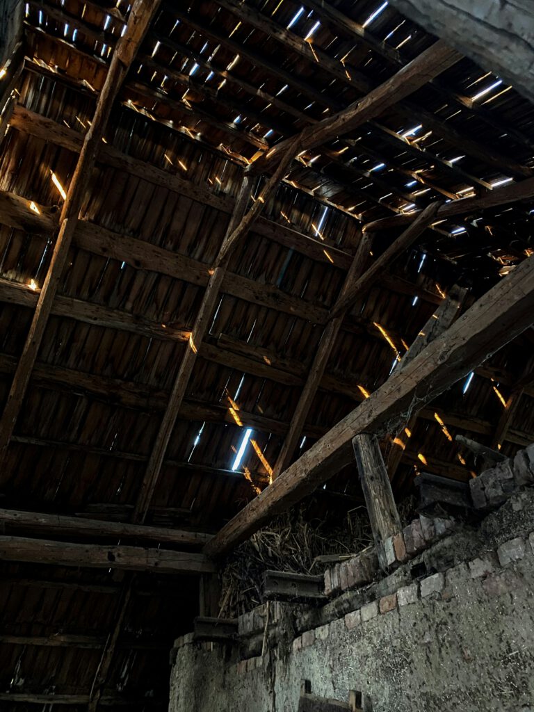 Barn and Spider