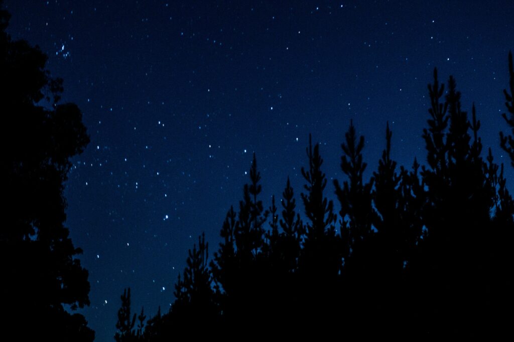 Advent, A Season of Longing